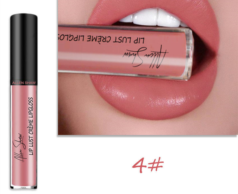 lip glaze lip gloss lipstick