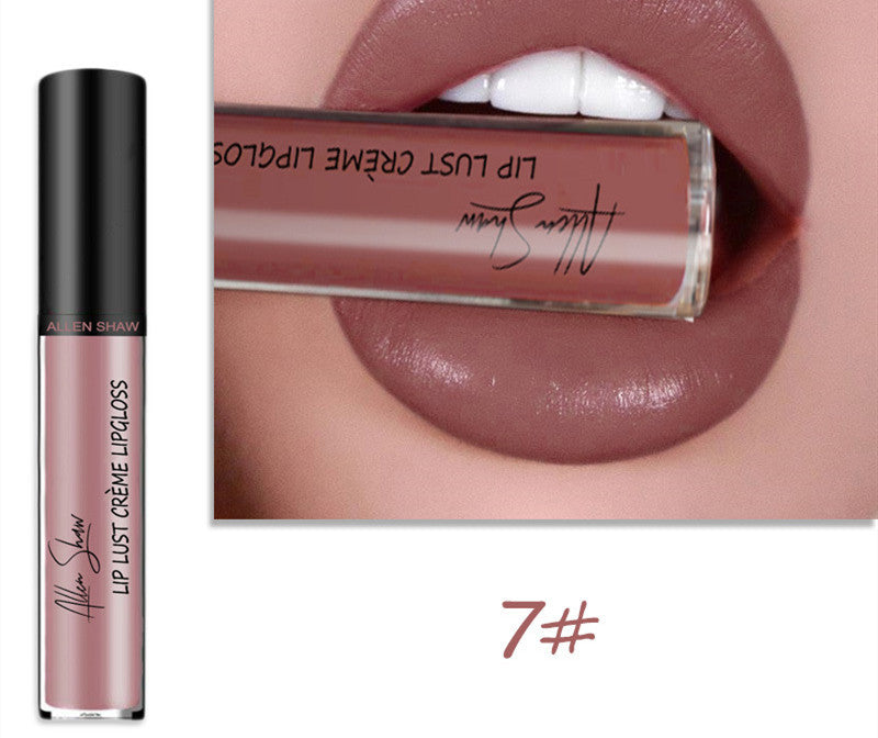 lip glaze lip gloss lipstick