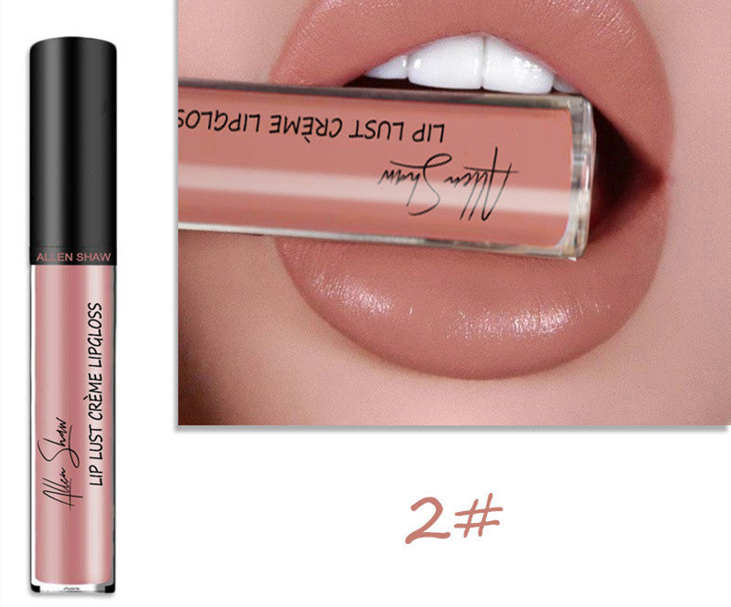 lip glaze lip gloss lipstick