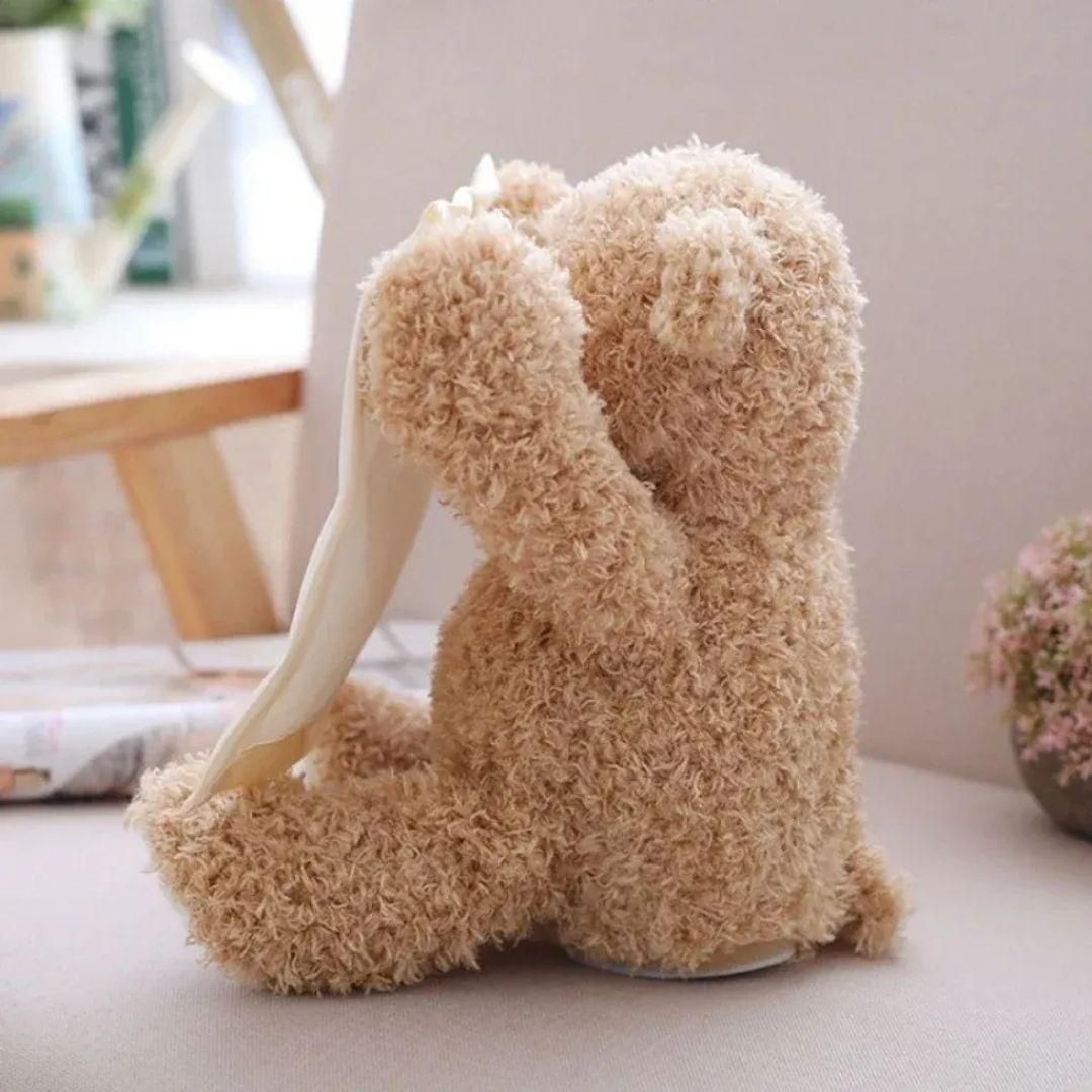 peak-a-boo playtime bear