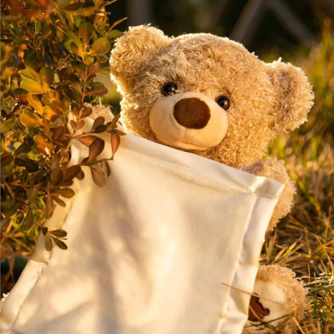 peak-a-boo playtime bear