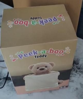 peak-a-boo playtime bear