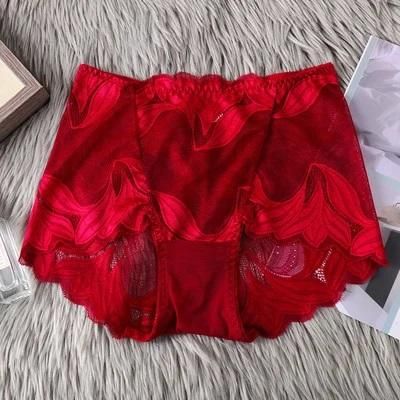 ladies smooth nylon lace underwear (pack of 3)