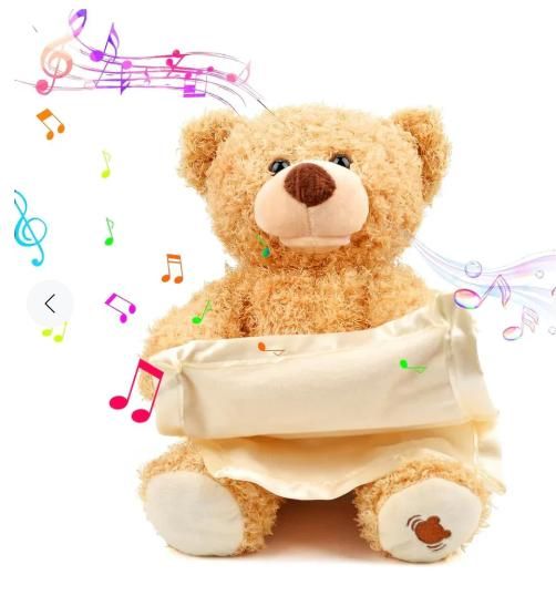 Peak-A-Boo Playtime Bear